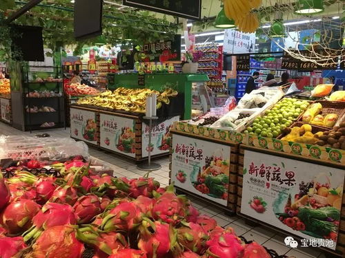 主城區市民生活必備物資儲備情況實地觀察 食用農產品批發市場探訪