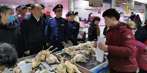 上海開展農(nóng)貿(mào)活禽交易市場疫情防控專項(xiàng)執(zhí)法檢查 保障食用農(nóng)產(chǎn)品批發(fā)安全